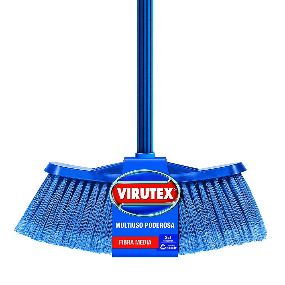 Recogedor economico ecologico